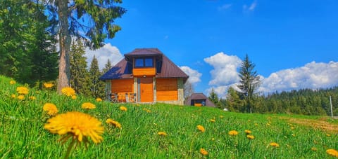 Apartmani Nišićka Oaza Chalet in Federation of Bosnia and Herzegovina