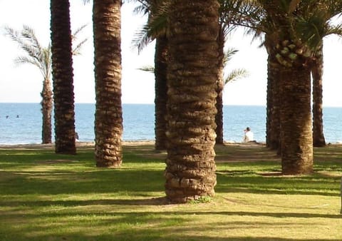 Spring, Natural landscape, Beach