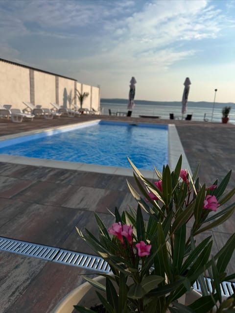 Casa Luis Coronini Bed and Breakfast in Serbia