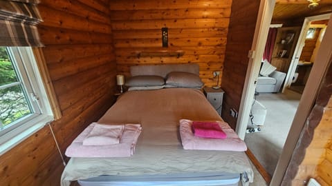 Cosy 2 bedroom Log Cabin in Snowdonia Cabin151 Cabin in Trawsfynydd