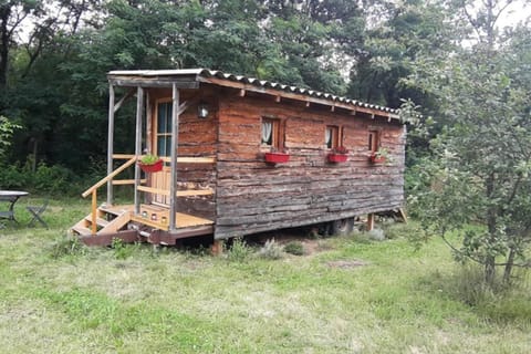 Charmante Roulotte atypique Chalet in Provence-Alpes-Côte d'Azur