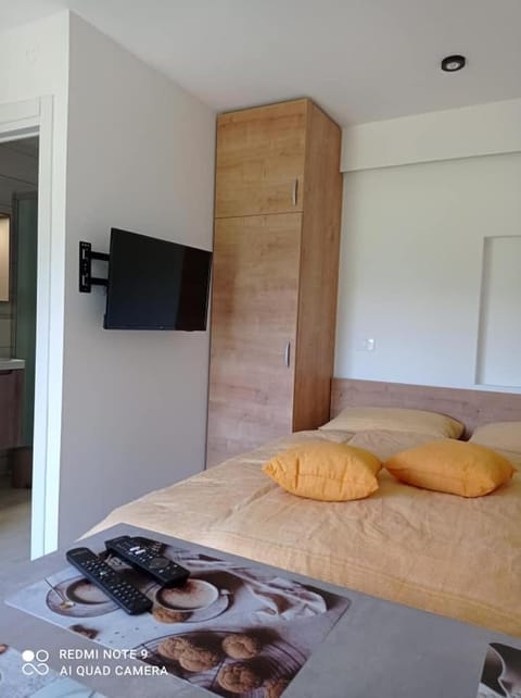 Apartma Aurora Apartment in Friuli-Venezia Giulia