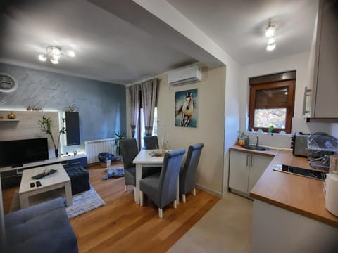 Apartman Korićanac Vrnjačka Banja Apartment in Serbia