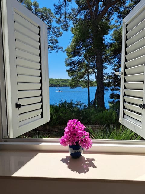 Natural landscape, Garden view, Sea view