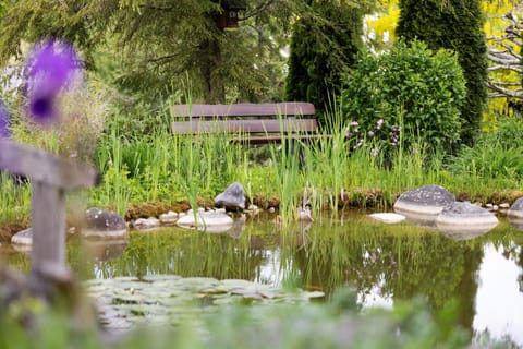 Ferienwohnung am Steinbach Apartment in Albstadt