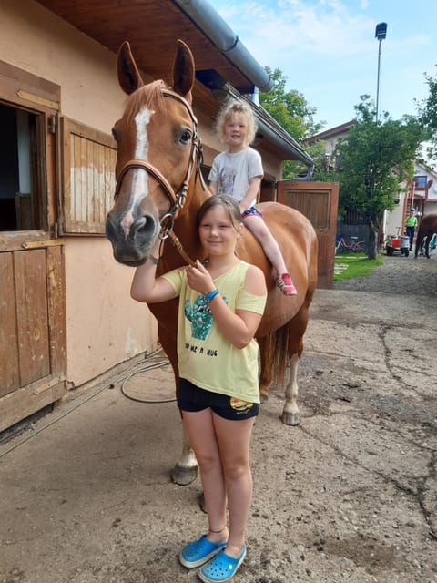 Horse-riding