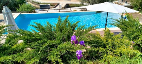 Garden view, Pool view