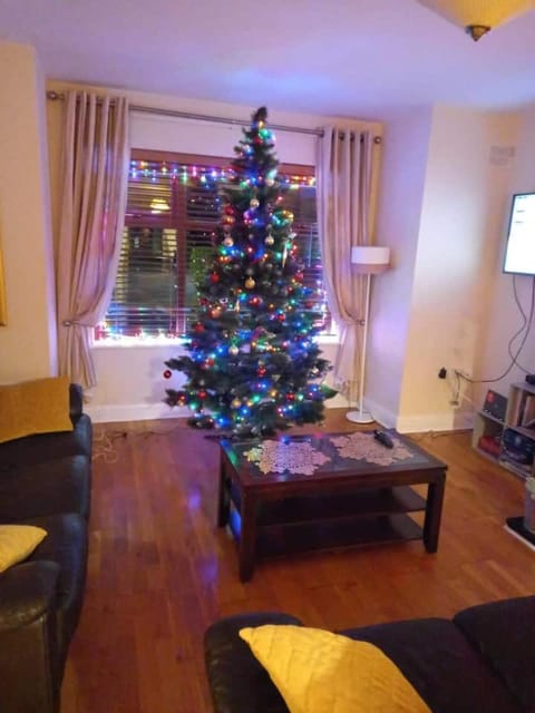 Home near the River Shannon Apartment in Longford