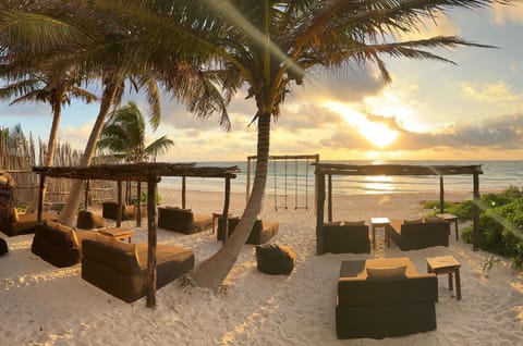 Beach, Sunrise