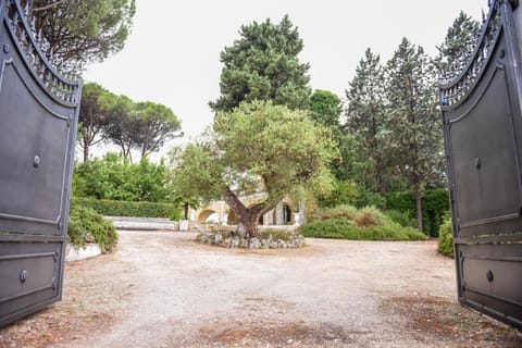 Villa Luciana Villa in Martina Franca