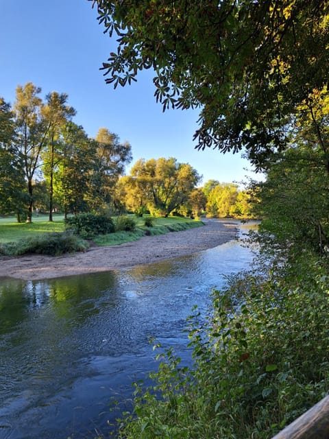 Natural landscape, River view