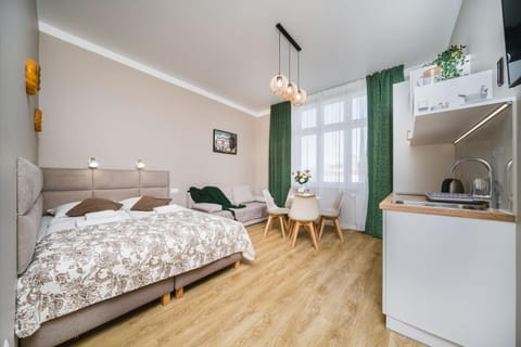 Bed, TV and multimedia, Coffee/tea facilities, Kitchen or kitchenette, Photo of the whole room, Bedroom, microwave, stove, towels