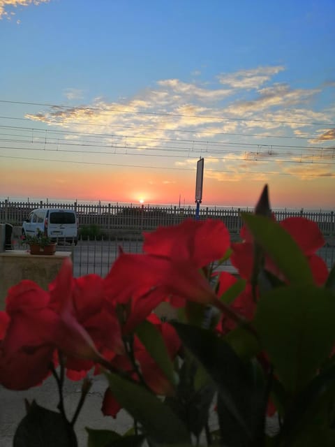 Casamare Baldassarri Apartment in Civitanova Marche