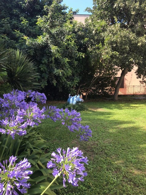 Natural landscape, Garden view