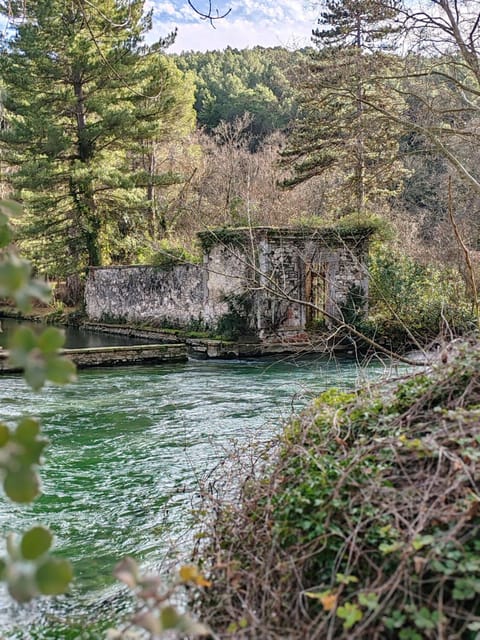 LE PETIT JARDIN ... Bed and Breakfast in L'Isle-sur-la-Sorgue