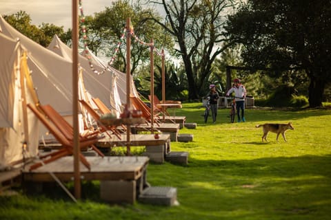 Glamping Octli - Santuario de las Luciernagas X NANTLI LIVING Luxury tent in State of Puebla