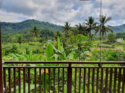 Nana Villas Sidemen Villa in Sidemen