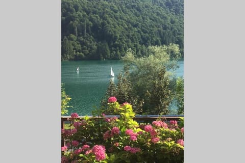 Lake view