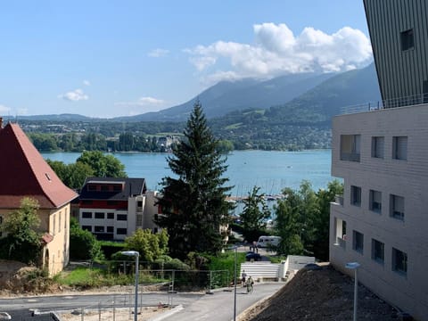 Lake view