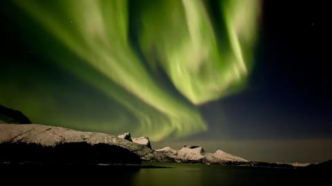 Efjord and Stetind Resort - Cabin Kobbernestinden Cabin in Nordland, Norway