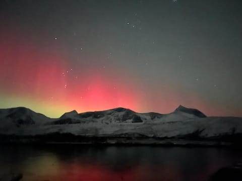 Efjord and Stetind Resort - Cabin Kobbernestinden Cabin in Nordland, Norway