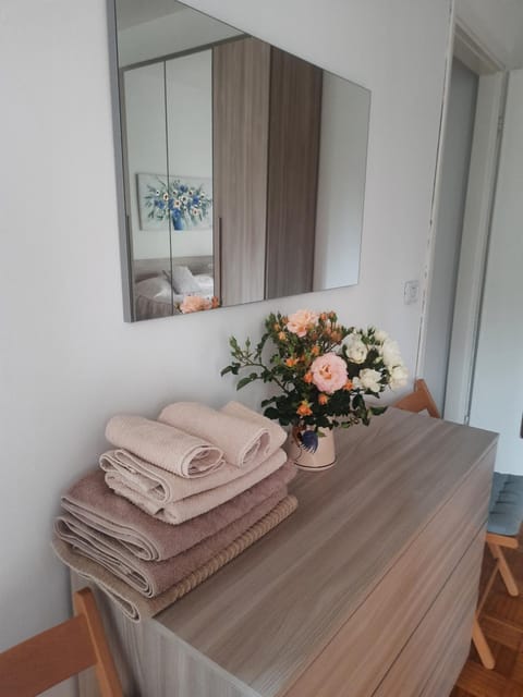Vesna Apartment Apartment in Desenzano del Garda
