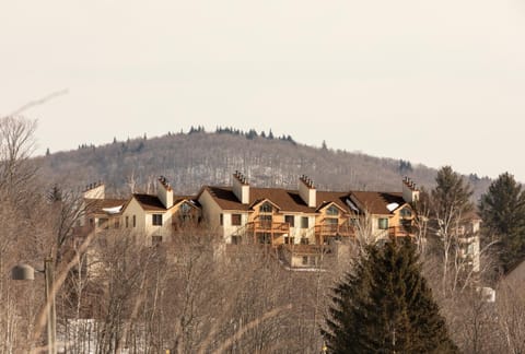 Mount Snow Lodging by Vail Resorts Nature lodge in Mount Snow
