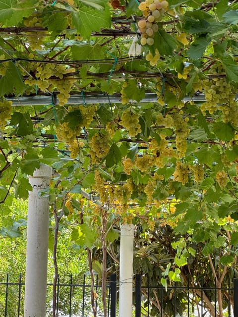 A casa di Alice Apartment in Vlorë County, Albania
