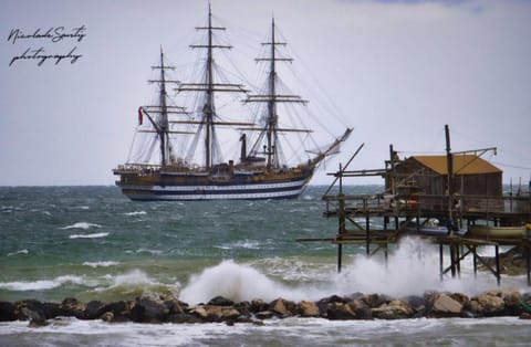 Viola Sul Mare Apartment Apartment in Termoli