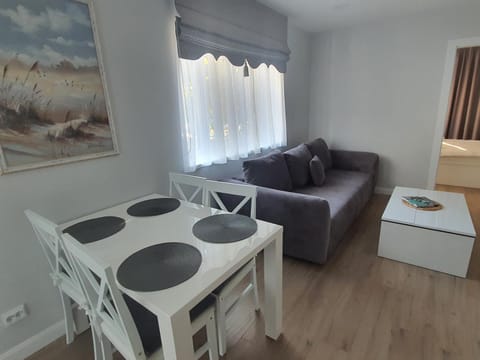 Central Apartment III Apartment in Klaipėda