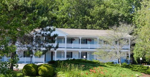 Property building, Day, Garden