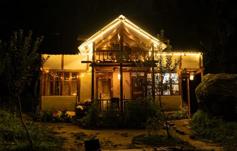Property building, Night, Garden view
