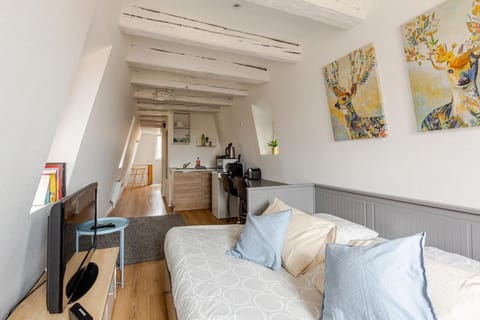 Bed, TV and multimedia, Kitchen or kitchenette, Living room, Photo of the whole room, Seating area, Dining area, Bedroom
