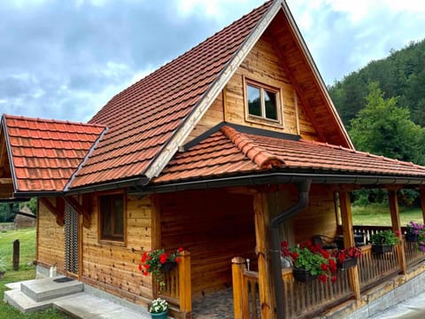 Apartmani D&S House in Zlatibor District, Serbia