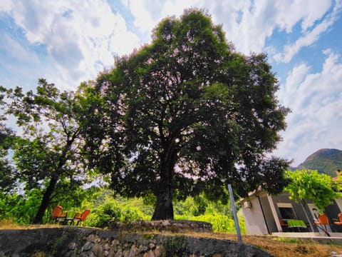 Property building, Garden, Parking