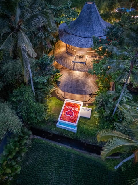 Night, Natural landscape, Bird's eye view