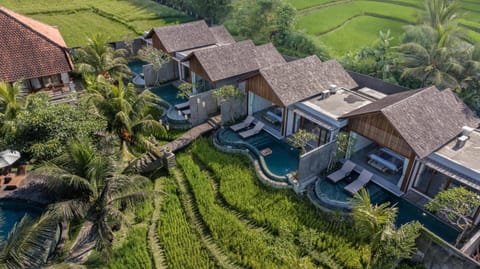 Property building, Day, Natural landscape, Bird's eye view, Garden, Garden view, Pool view, Swimming pool, sunbed