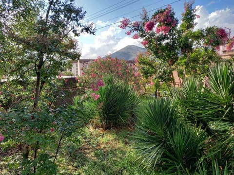 Apartman Ipak Se Okrece Apartment in Dubrovnik-Neretva County