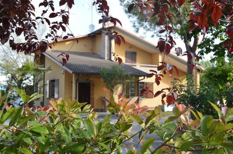 Property building, Spring