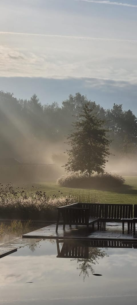 Garden, Garden view, Garden view