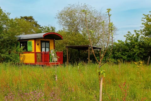 Property building, Natural landscape, Garden, Garden view