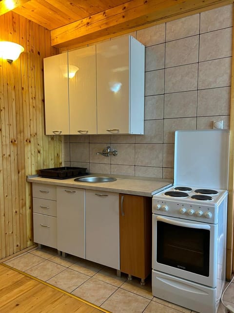 Kitchen or kitchenette, kitchen, kitchen