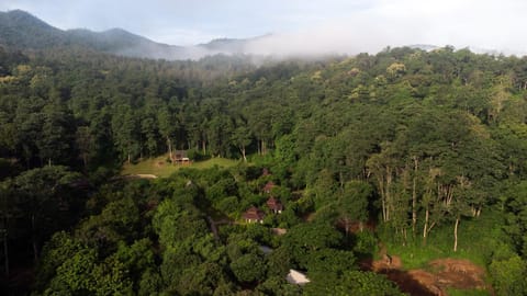 Property building, Natural landscape, Bird's eye view, Garden view, Mountain view