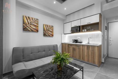 Kitchen or kitchenette, Living room, Seating area