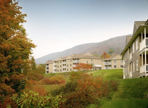 Property building, Day, Natural landscape