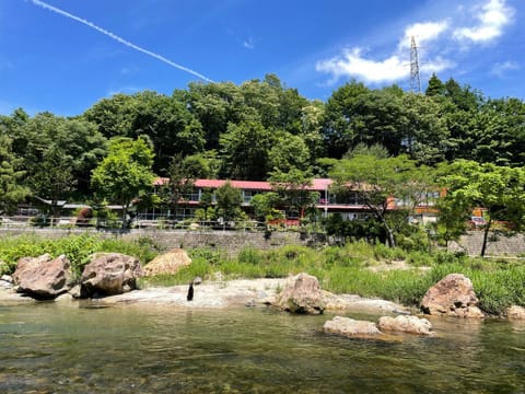 Natural landscape, Garden, River view