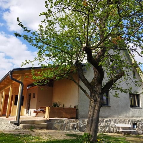 Property view
