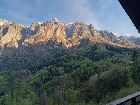 Chalet cima 12 Valle di Sella House in Trentino-South Tyrol