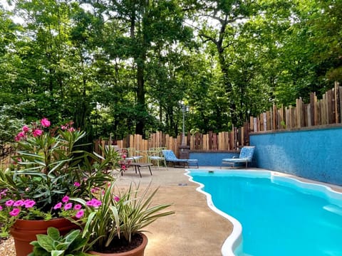 Frog Pond Hollow Lodge House in Georgia