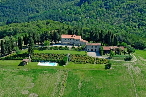 Bird's eye view, Garden